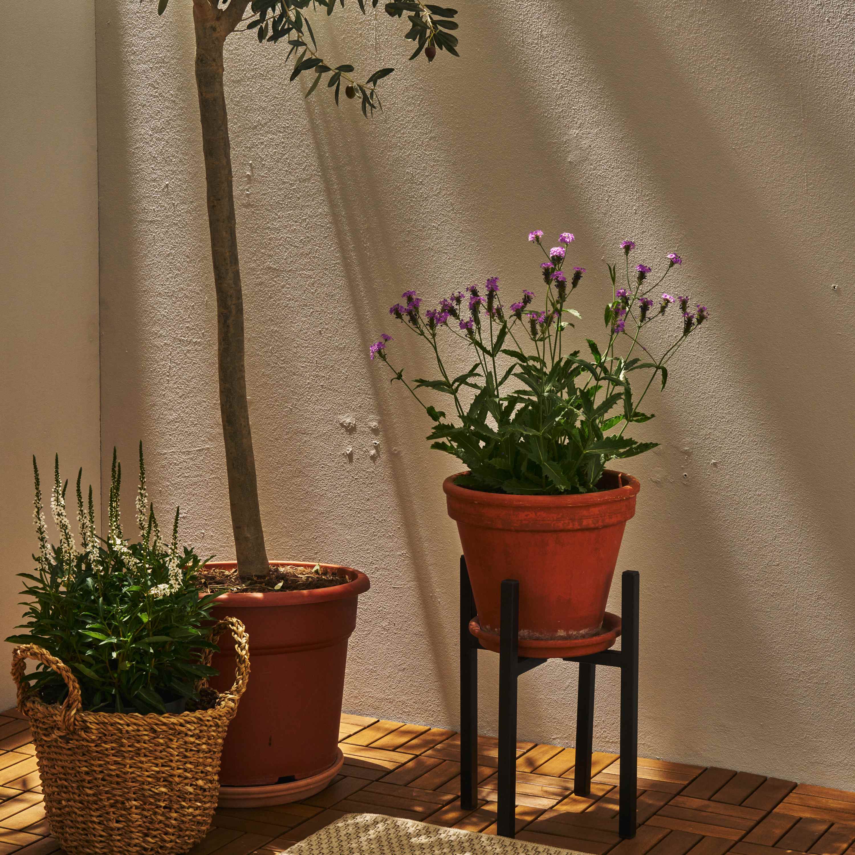 Plant stand X-FORM